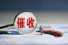山南专业讨债公司，追讨消失的老赖